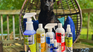 The Right Dog Shampoos Can Help People and Pets