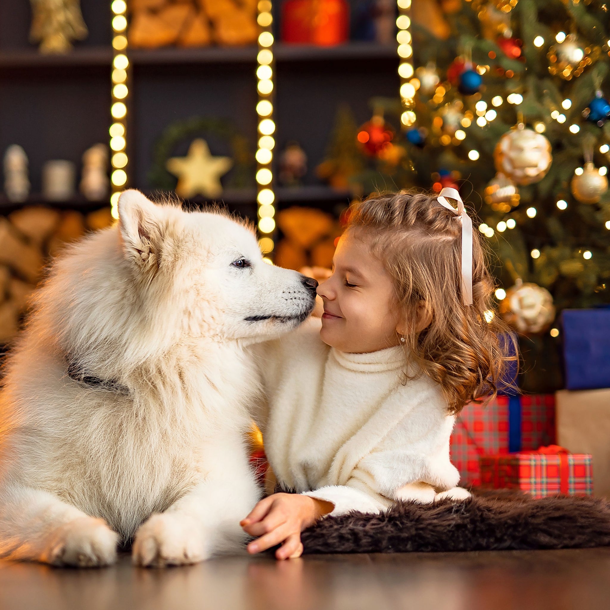 Holiday Glam for Your Furry Pal: Festive Fun with Seasonal Grooming Products