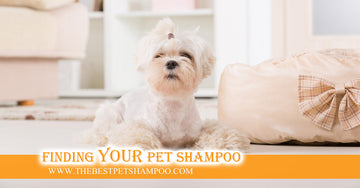GUIDE to | Best Dog Shampoo for Mats and Tangles