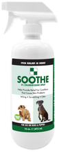 Load image into Gallery viewer, Soothe™ Medicated Hot Spot Spray
